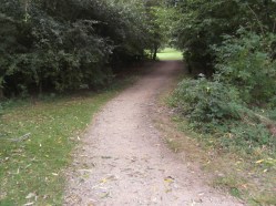 After leaf removal Sept 2014