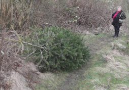 Xmas tree dumped 2015