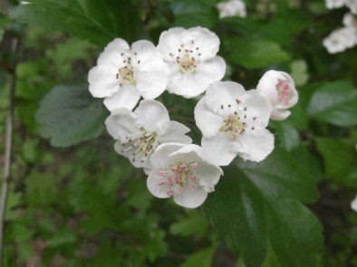 May 2nd Nend Wbund2015