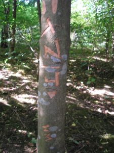 Do these initials mean anything to you?