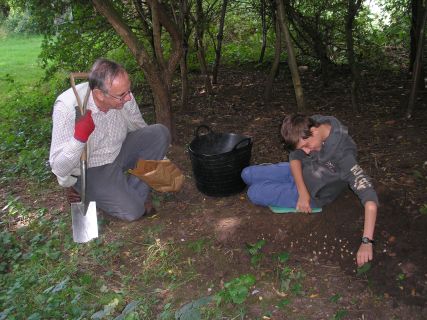 Planting native Snowdrops, 30/09/2015 