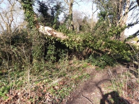 Little Hob MoorFeb23_2016